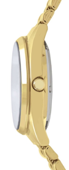 Bild von Lorus Automatic