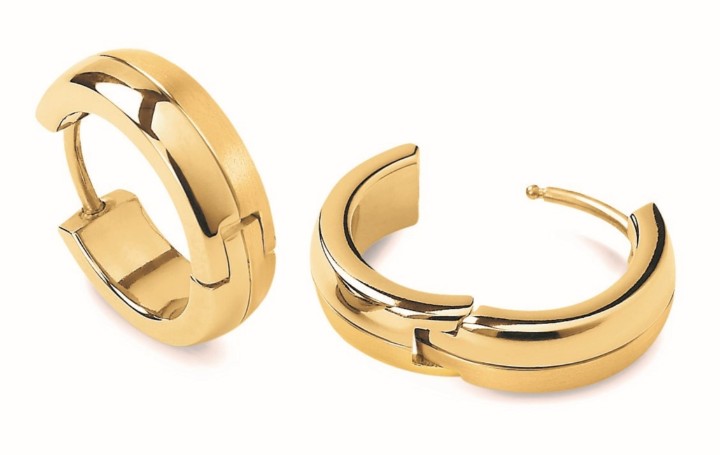 Bild von Boccia Titanium Ohrring