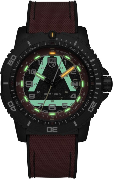 Bild von Luminox ICE-SAR 1080 Series Limited Edition