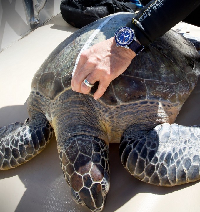 Bild von Certina DS Super PH500M