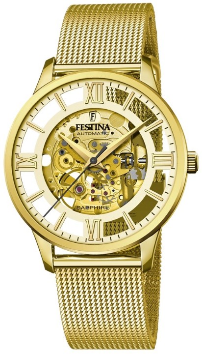 Bild von Festina Automatic Skeleton
