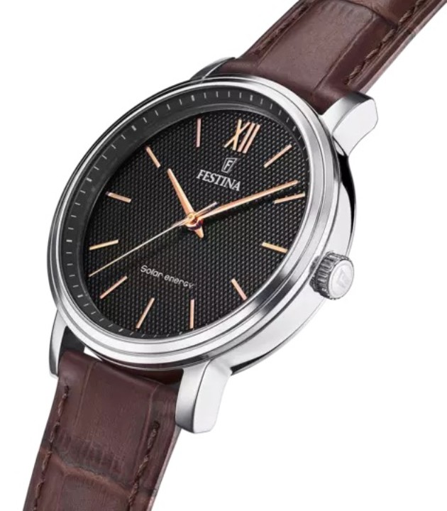 Bild von Festina Solar Energy