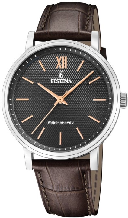 Bild von Festina Solar Energy