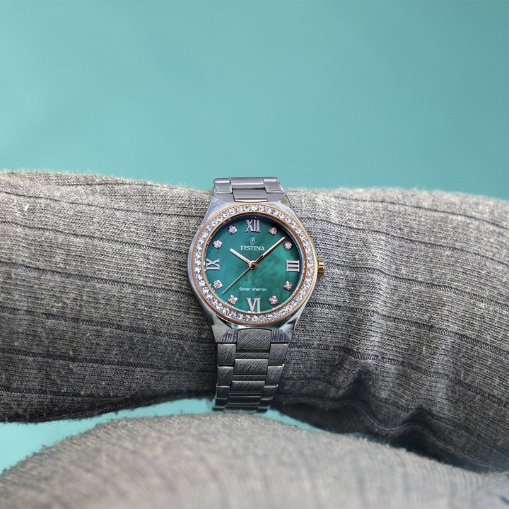 Bild von Festina Solar Energy