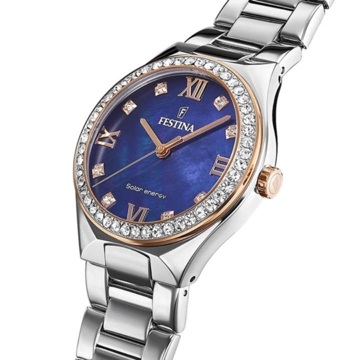 Bild von Festina Solar Energy