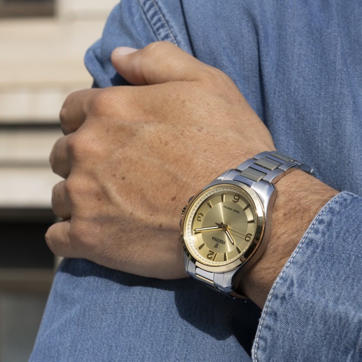 Bild von Festina Solar Energy