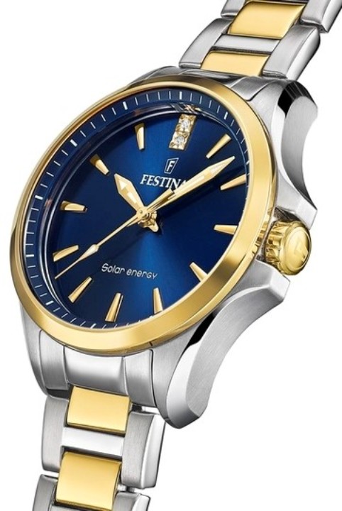 Bild von Festina Solar Energy