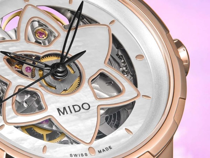 Bild von Mido Rainflower Blossom