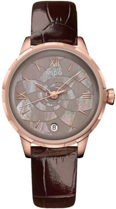 Bild von Mido Rainflower