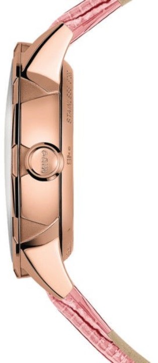 Bild von Mido Rainflower