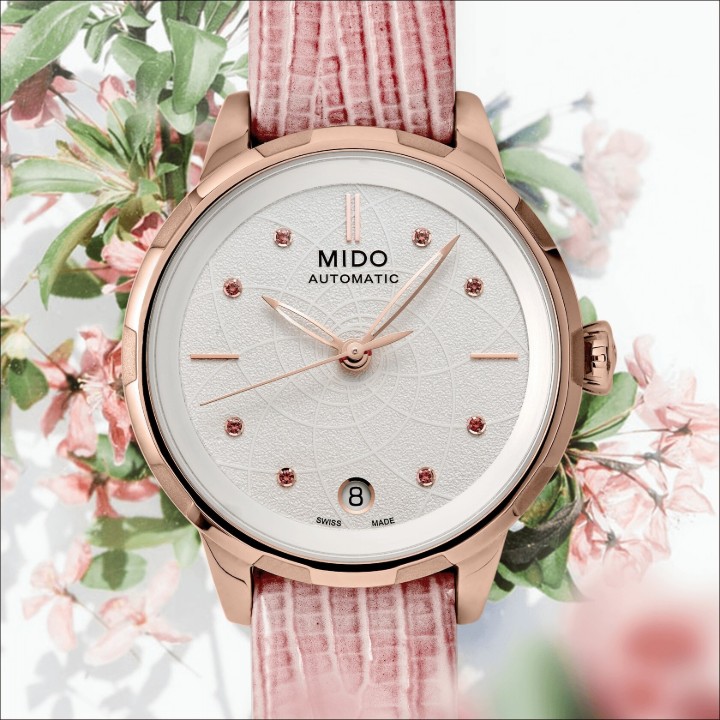 Bild von Mido Rainflower