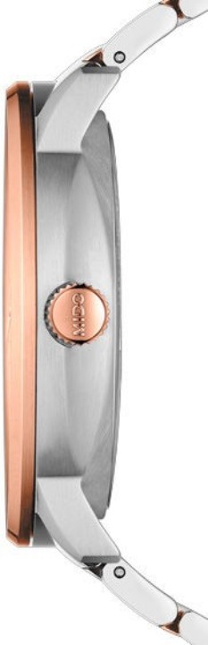 Bild von Mido Commander Big Date