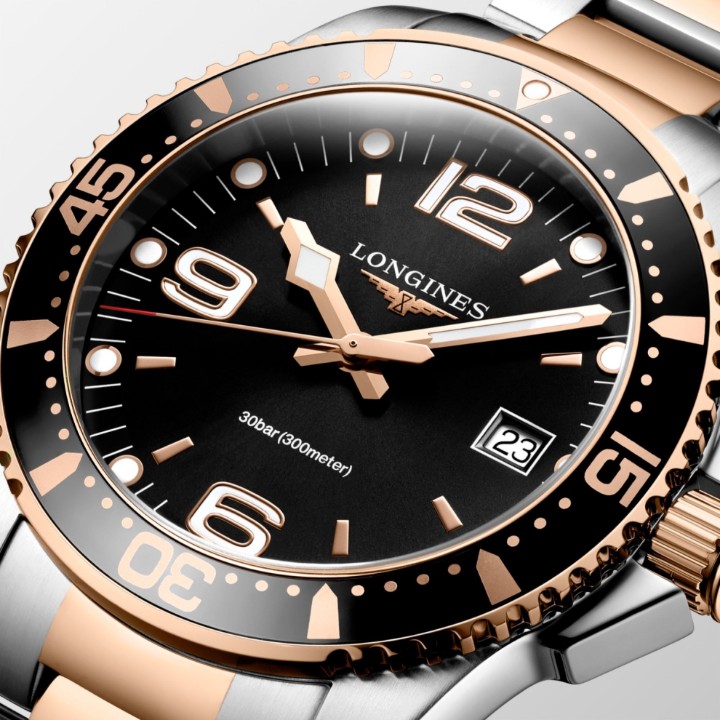 Bild von Longines HydroConquest