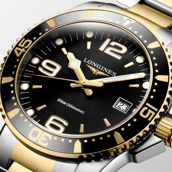 Bild von Longines HydroConquest