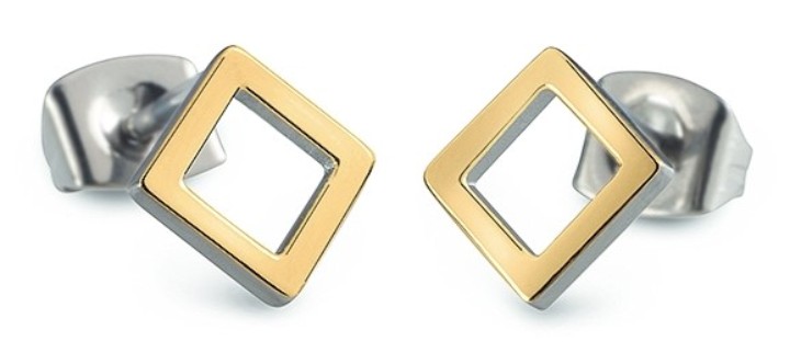 Bild von Boccia Titanium Ohrring