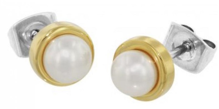 Bild von Boccia Titanium Ohrring