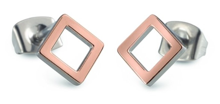 Bild von Boccia Titanium Ohrring