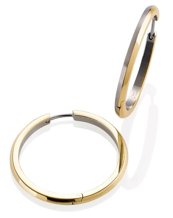 Bild von Boccia Titanium Ohrring