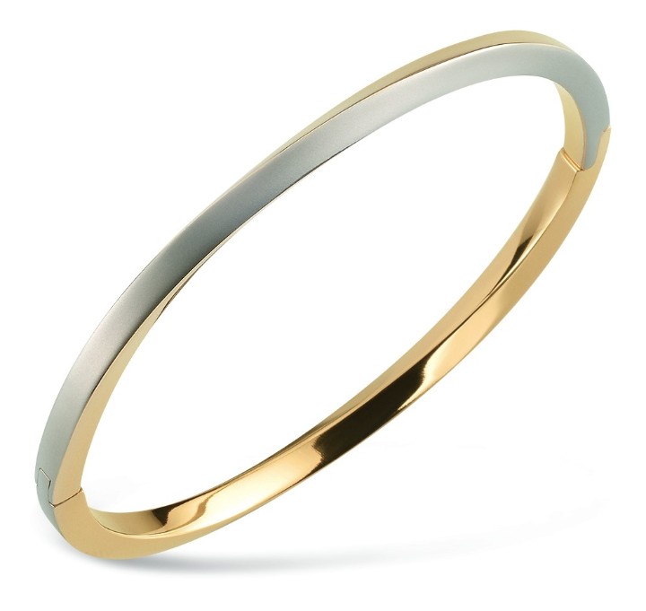 Bild von Boccia Titanium Armband