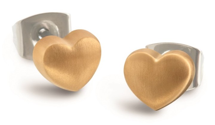 Bild von Boccia Titanium Ohrring