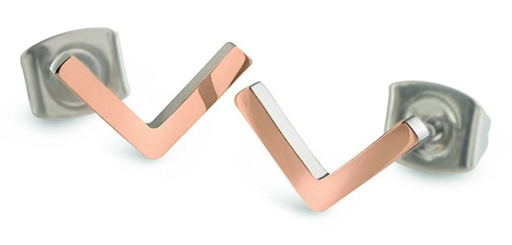 Bild von Boccia Titanium Ohrring