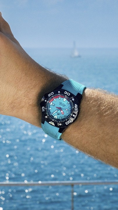 Bild von Lotus Diver