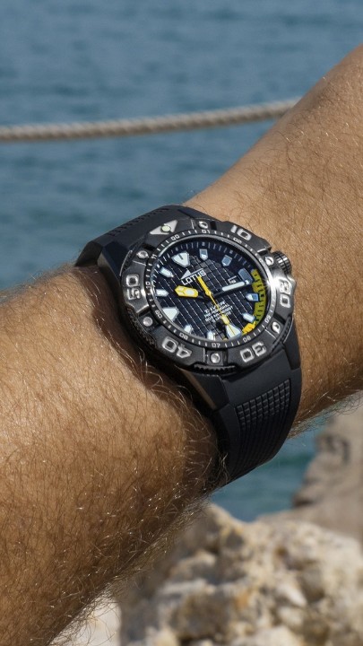 Bild von Lotus Diver