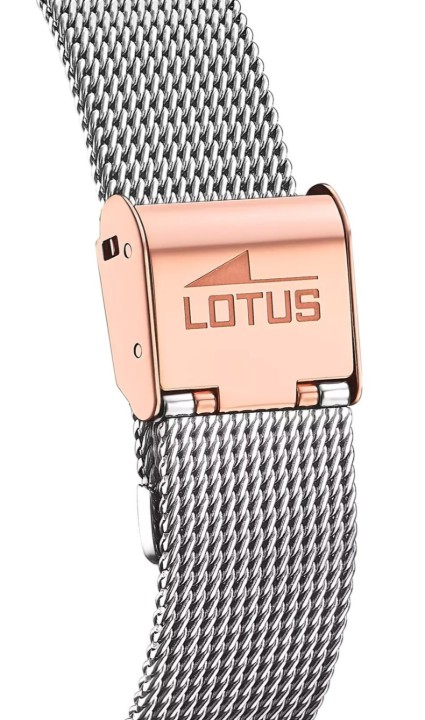Bild von Lotus Trendy