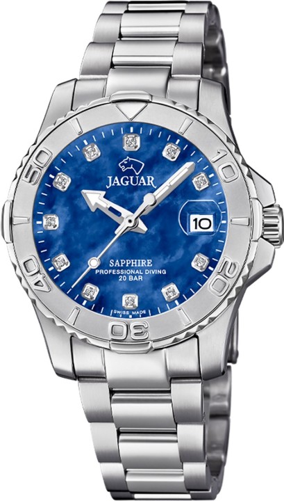 Bild von Jaguar Executive Diver