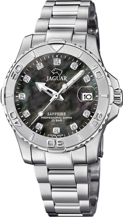 Bild von Jaguar Executive Diver