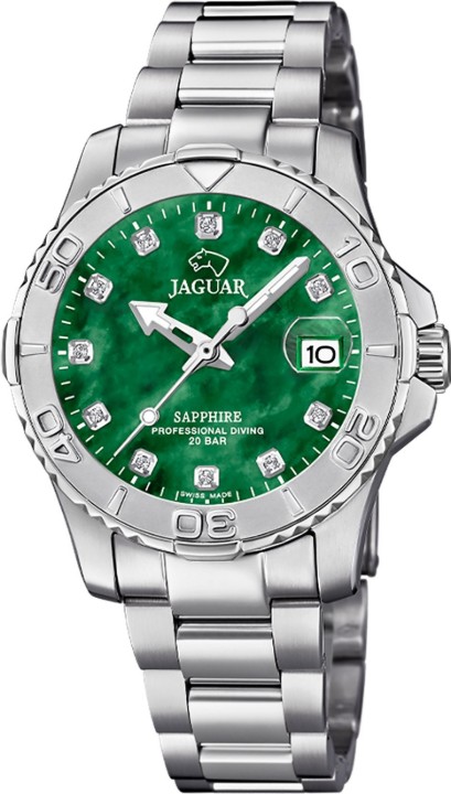 Bild von Jaguar Executive Diver