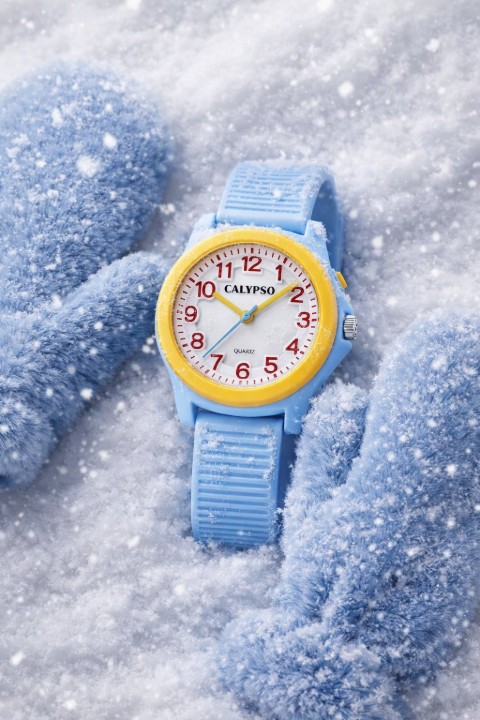 Bild von Calypso Junior