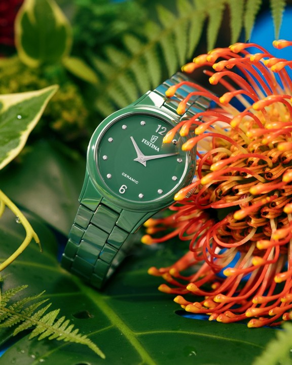 Bild von Festina Ceramic