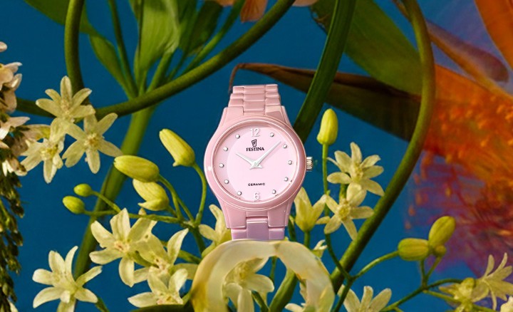 Bild von Festina Ceramic