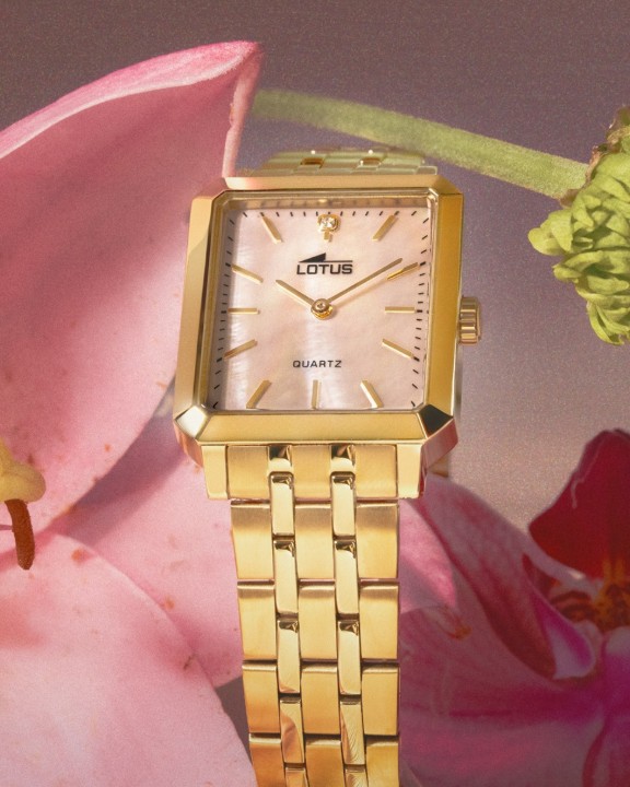 Bild von Lotus Square Series