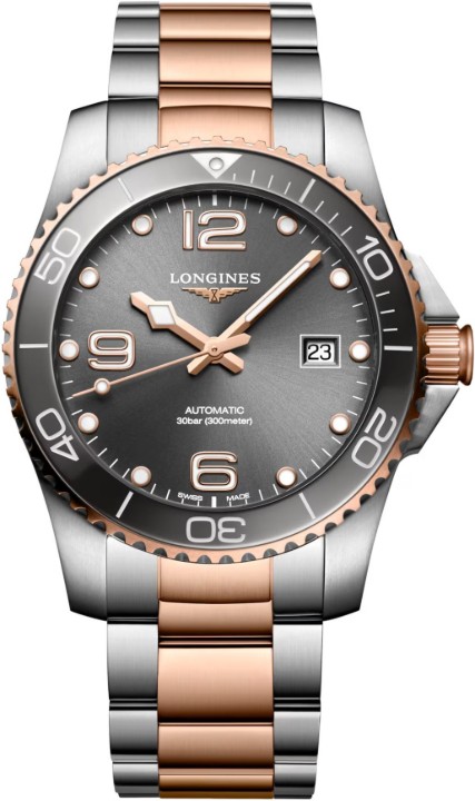 Bild von Longines HydroConquest