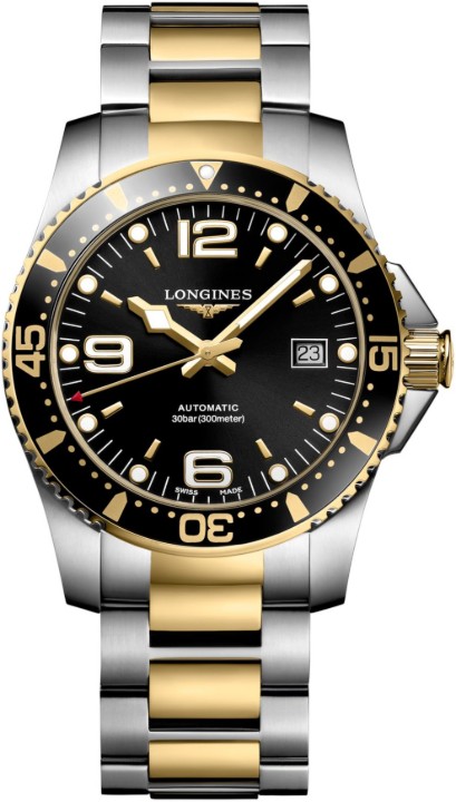Bild von Longines HydroConquest