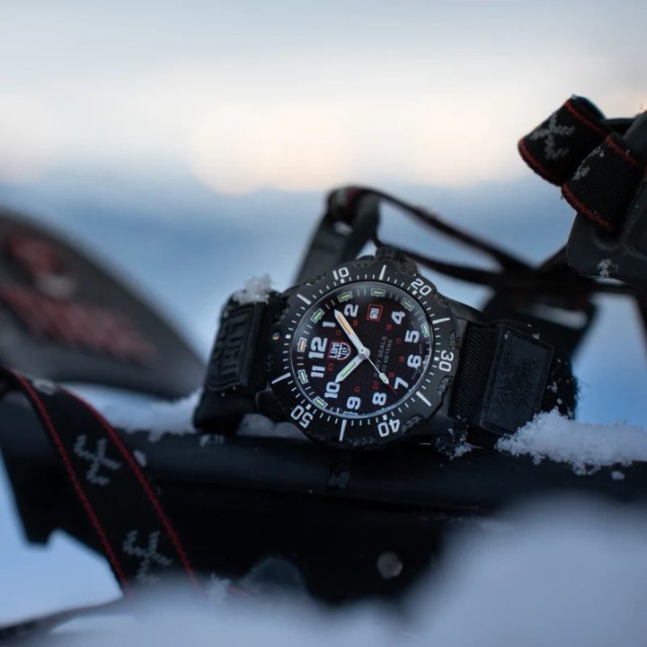 Bild von Luminox Navy SEAL 4230 Series