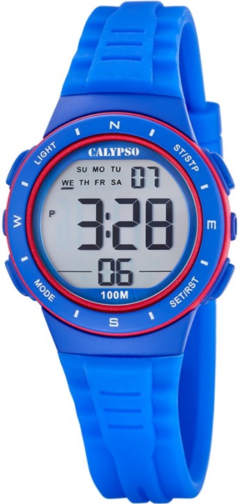 Bild von Calypso Junior