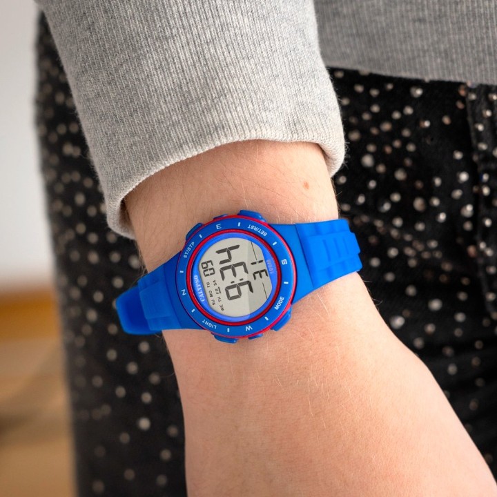 Bild von Calypso Junior