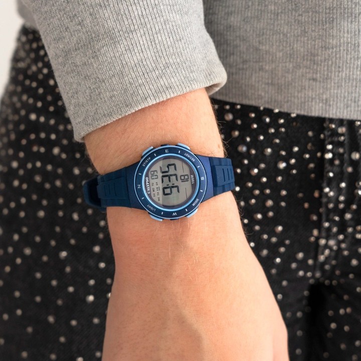 Bild von Calypso Junior