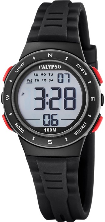 Bild von Calypso Junior