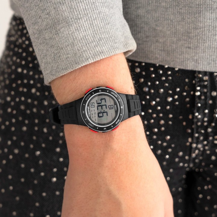 Bild von Calypso Junior