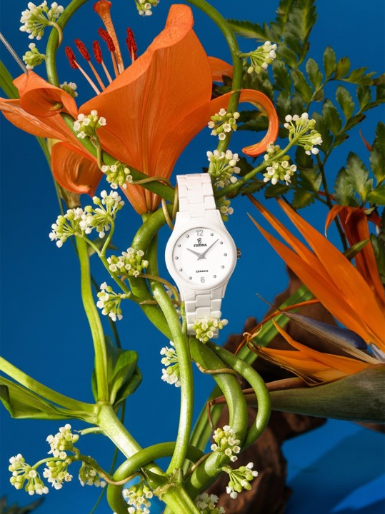 Bild von Festina Ceramic