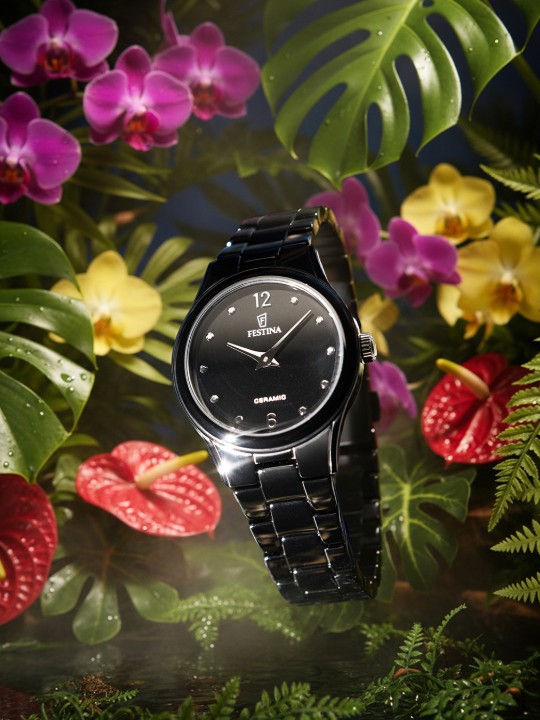 Bild von Festina Ceramic