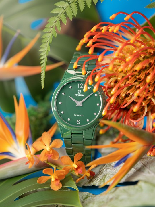 Bild von Festina Ceramic