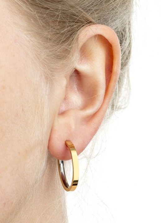 Bild von Boccia Titanium Ohrring