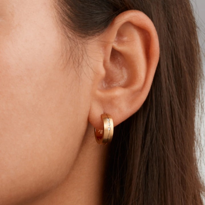 Bild von Boccia Titanium Ohrring