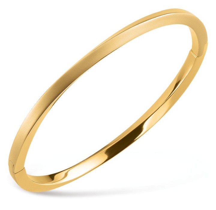 Bild von Boccia Titanium Armband