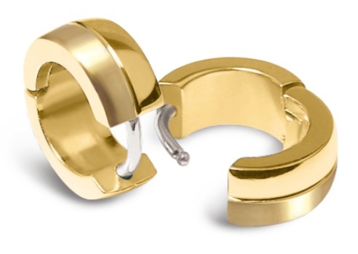 Bild von Boccia Titanium Ohrring